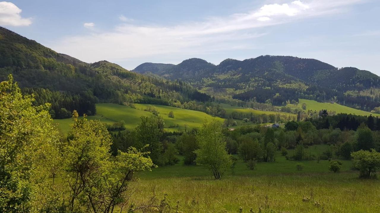 Sloneczne Apartamenty Sokolowsko Esterno foto